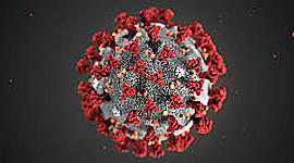 Timeline: Coronavirus