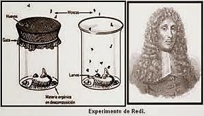 Francesco Redi