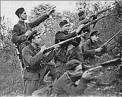 Взяття загонами повстанського отамана Тараса Бульби-Боровця Олевська на півночі Житомирщини.