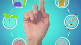 Timeline: CRONOLOGÍA DE LA BIOÉTICA