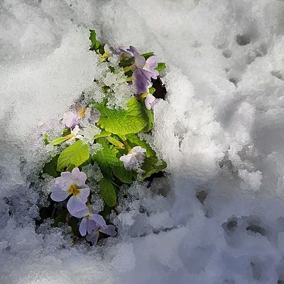 Timeline: Climate change impact on seasons