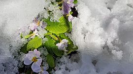 Timeline: Climate change impact on seasons