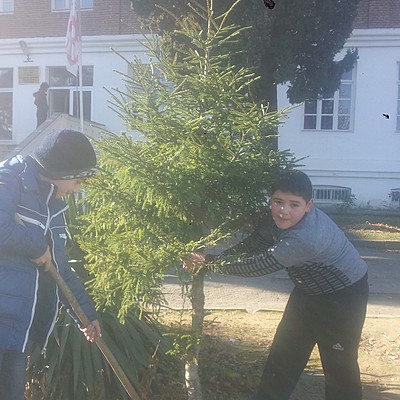 Timeline: ისტორია სკოლაზე