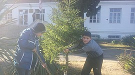 Timeline: ისტორია სკოლაზე