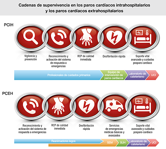 Publicación "Protocolo de actuación acerca de la finalización de tratamiento de soporte vital y del cuidado del paciente"