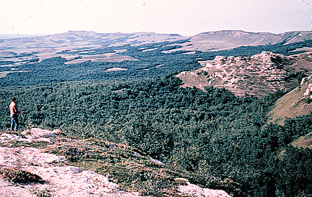 North Dakota Gold Rush Starts