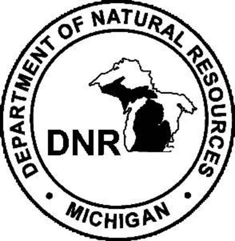 The D.N.R is founded