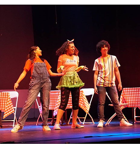 Participe en una obra teatral