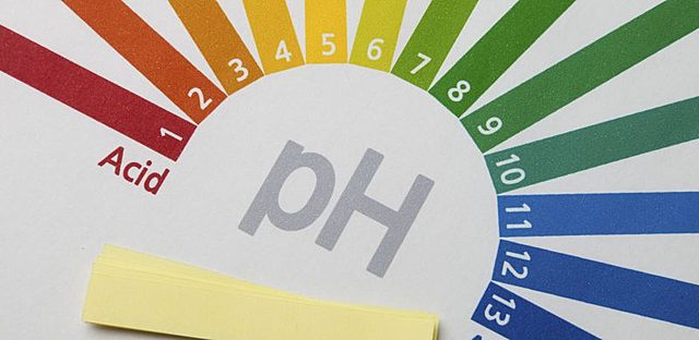 Primeros en conocerse