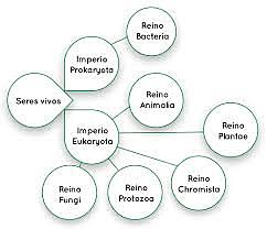 Clasificación de Cavalier Smith