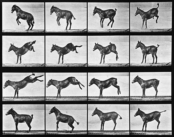 First photographs of motion