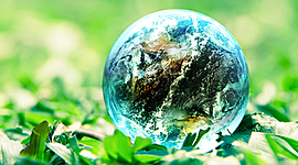 Timeline: Természetvédelem története