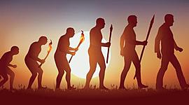 Timeline: ORIGEN DE LA VIDA