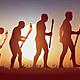 Evolucion darwin 1897097