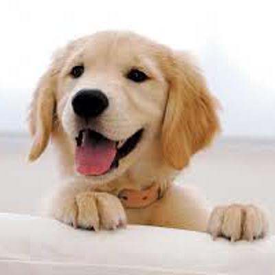 Timeline: Línea del tiempo