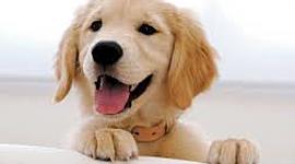 Timeline: Línea del tiempo