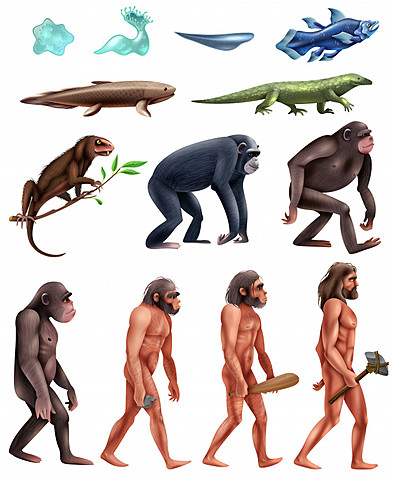Teoría de la evolución (Darwin)