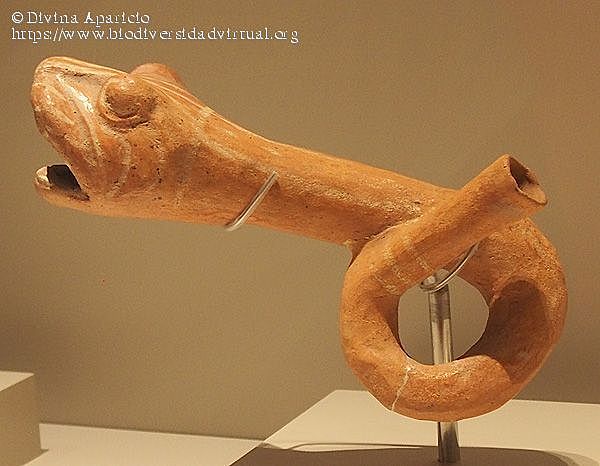 Trompeta Guerrero Mochica.