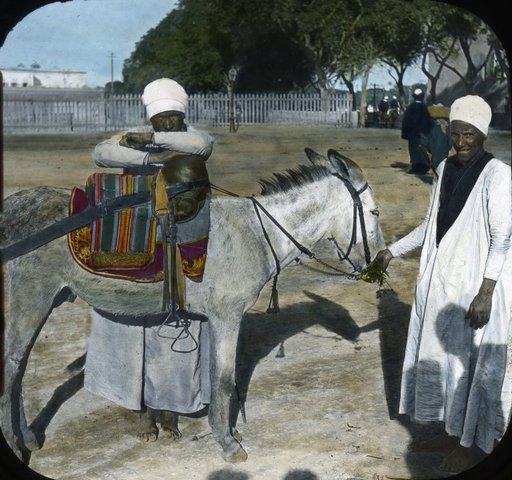 Civil war divides Japan