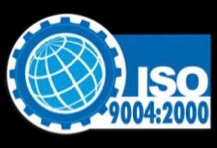 Norma ISO 9004: 2000