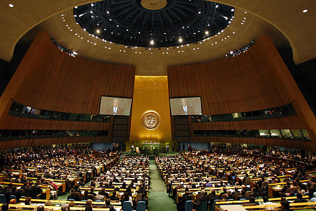 ASAMBLEA GENERAL  DE LA ONU