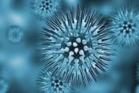 Se consolida la microbiología