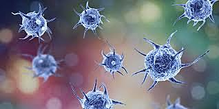 Aparición del reino protista