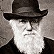 219px charles darwin 1880