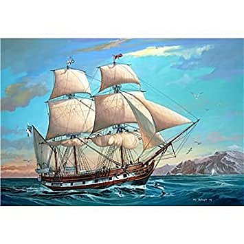 Il ritorno del Beagle