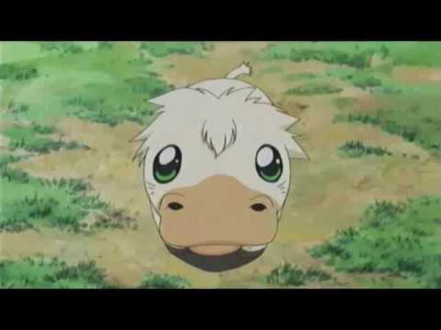 Zack gets a happy Hippo