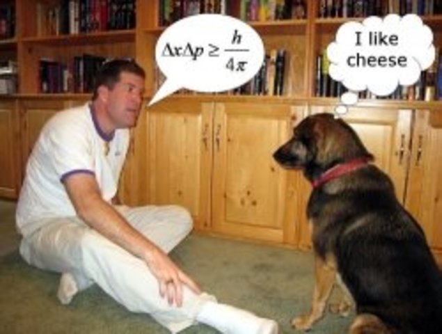 The dog started talking