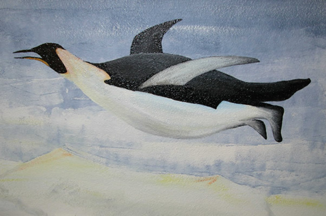 The penguin started to fly