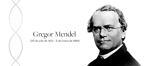 Gregor Mendel