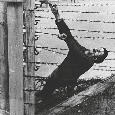 Timeline: TFM Confinado