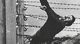 Timeline: TFM Confinado