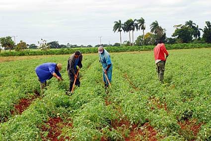 Rafael Uribe y Benjamín Herrera