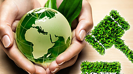 Timeline: Legislación Ambiental de México