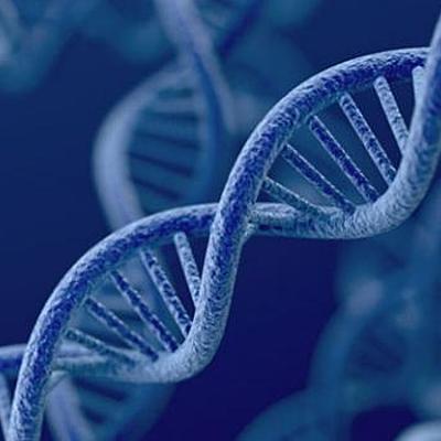 Timeline: La genética como diciplina actual desde sus inicios...