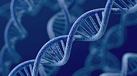 Timeline: La genética como diciplina actual desde sus inicios...