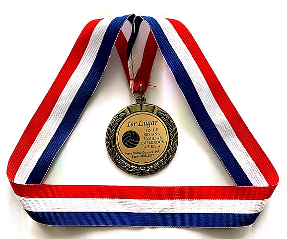 Asociación de Empleados del Estado Libre Asociado (AEELA)