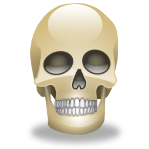 Mort de Antonín Leopold Dvořák