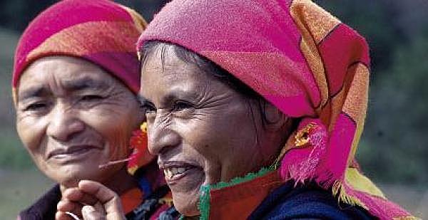 PRINCIPIOS Y MÉTODOS DEL NUEVO INDIGENISMO