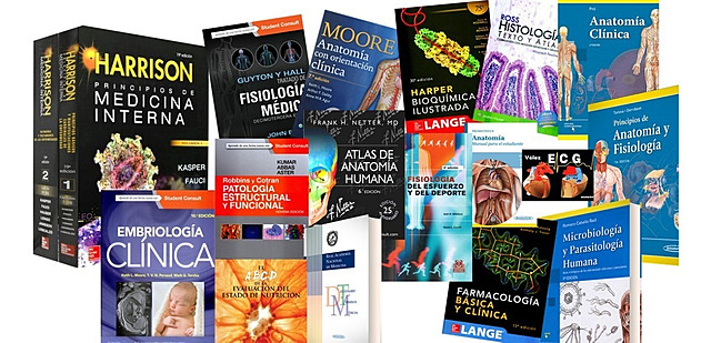 Publicaciones e interés en el tema.