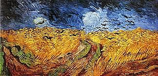 campo di grano con volo di corvi