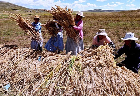 LA INSTRUMENTALIZACIÓN DE LA ANTROPOLOGÍA