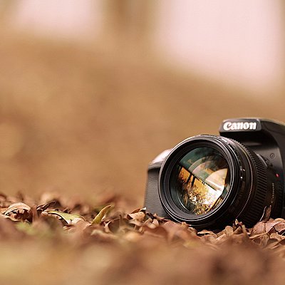 Timeline: Historia del video