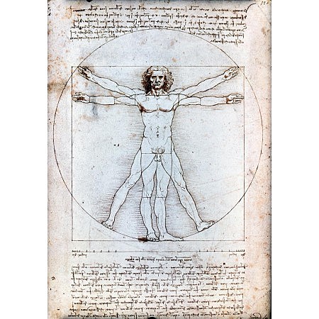 Home de vitruvi – Leonardo da Vinci