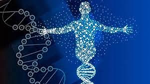 Proyecto del genoma humano