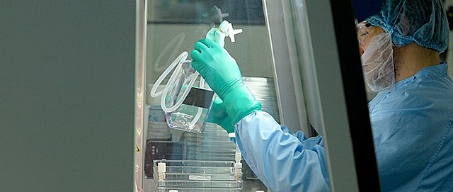 Edición del genoma humano