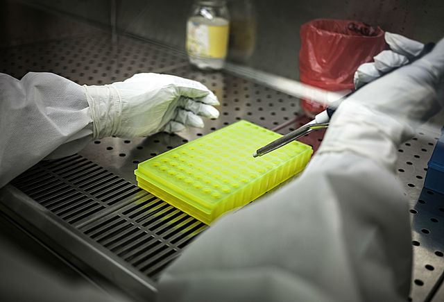 Apertura laboratorio de pruebas.